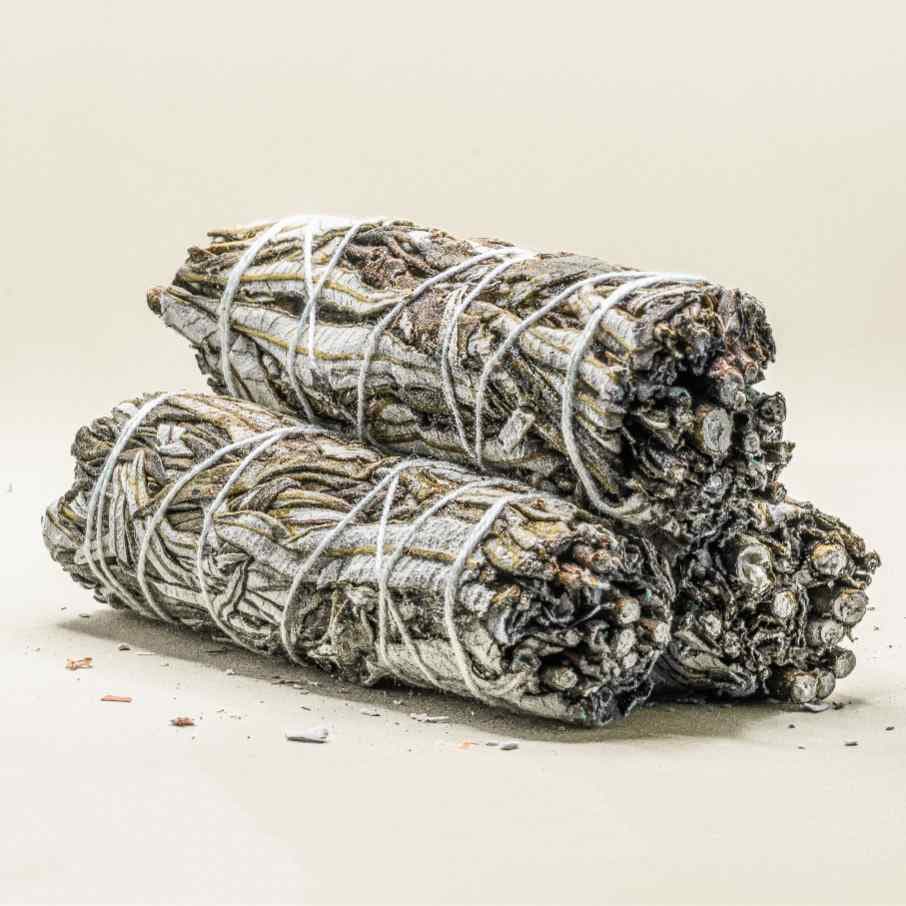 sauge noire yerba santa