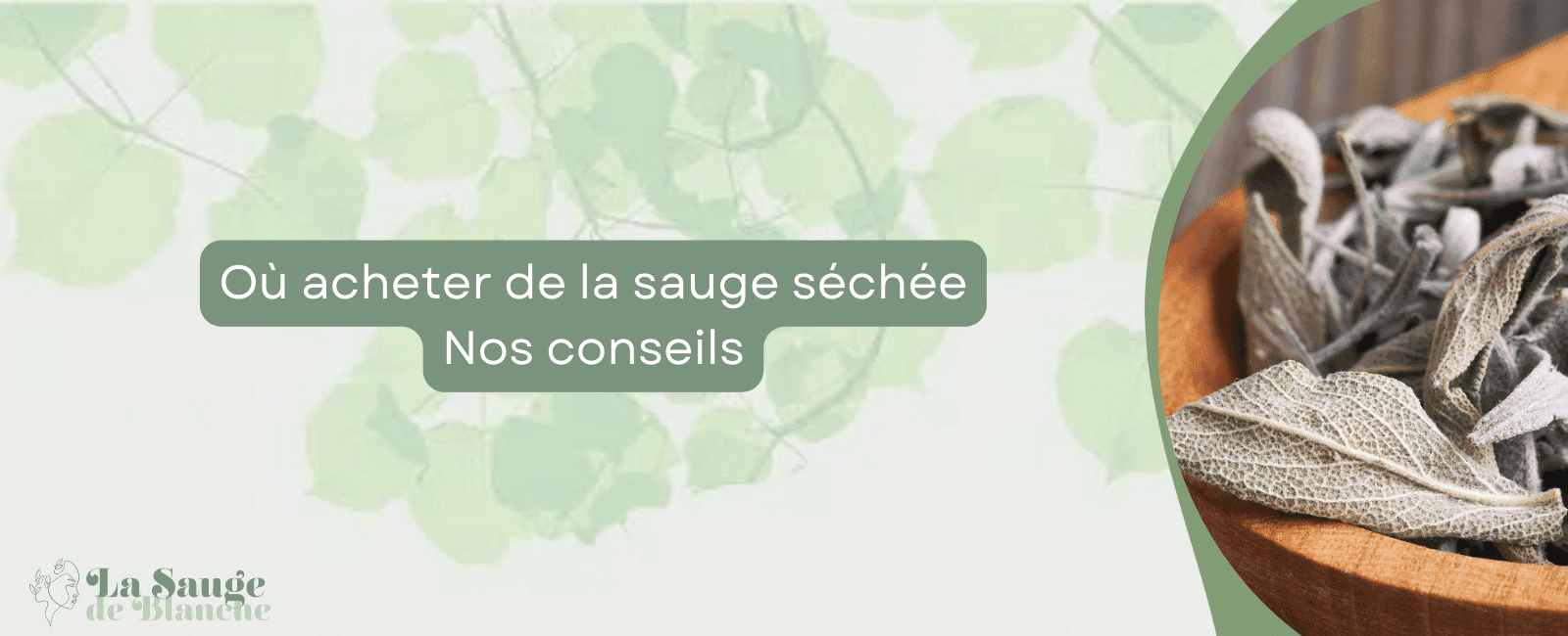 où acheter de la sauge séchée bannière