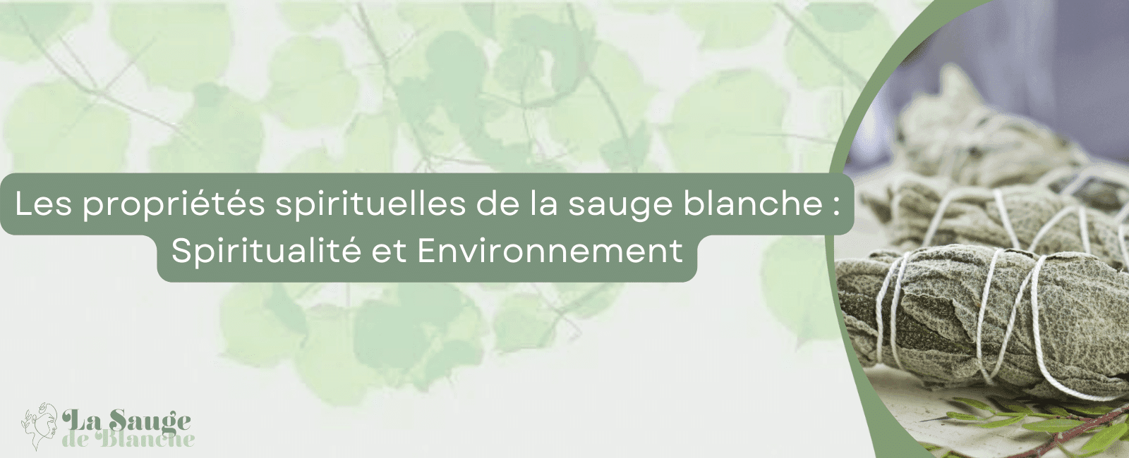 propriétés spirituelles de la sauge blanche