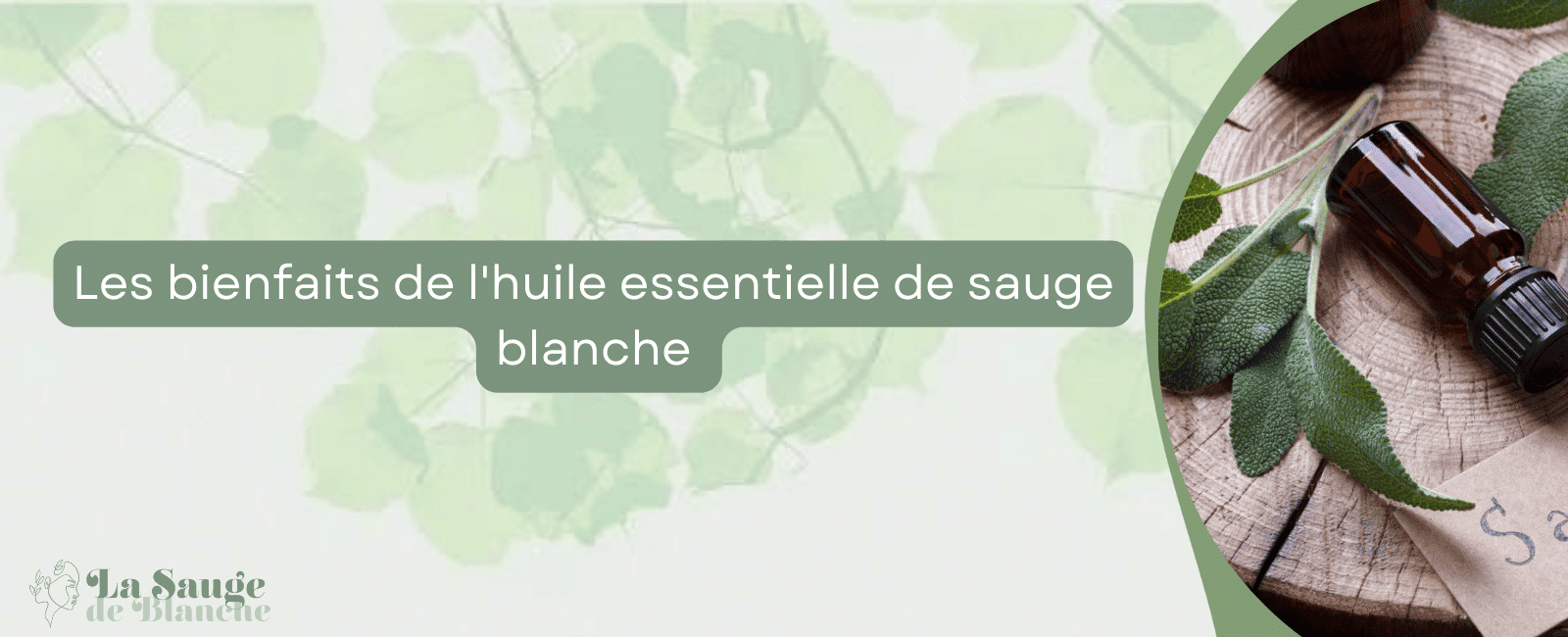 bienfaits de l'huile essentielle de sauge blanche