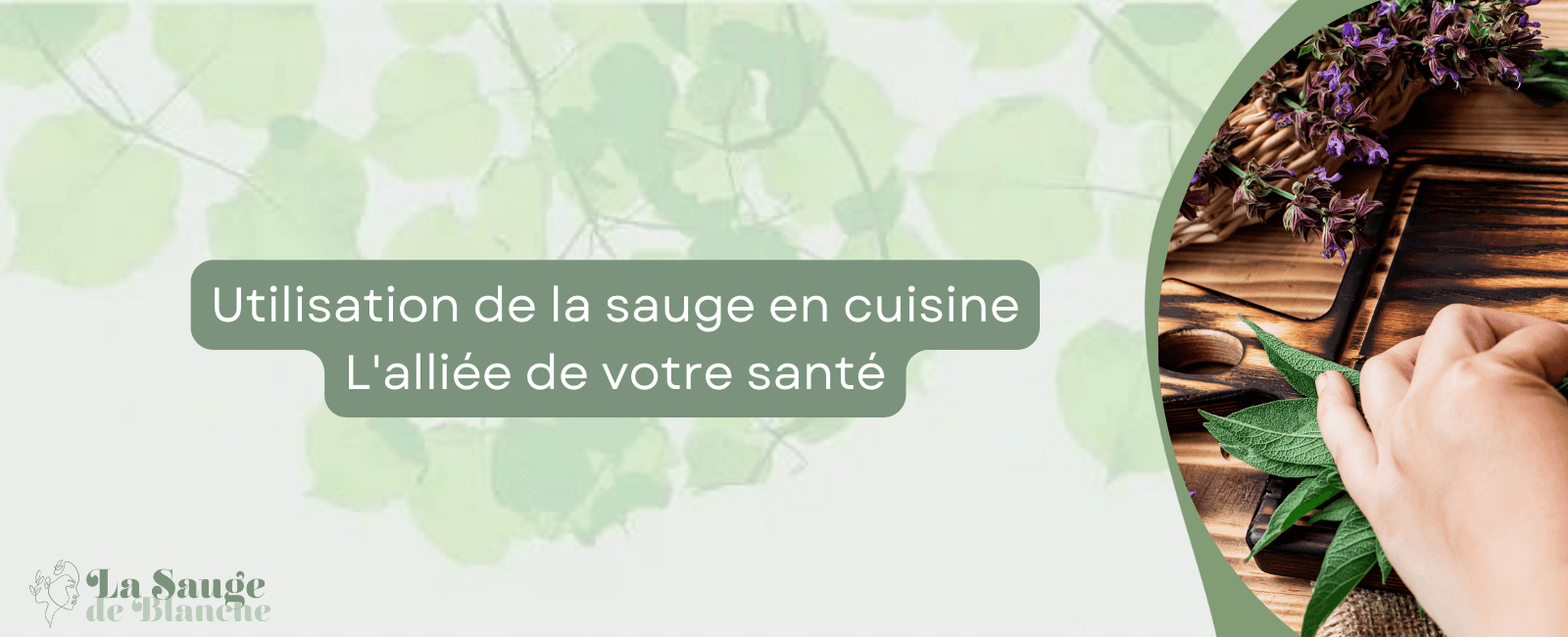 utilisation de la sauge en cuisine bannière