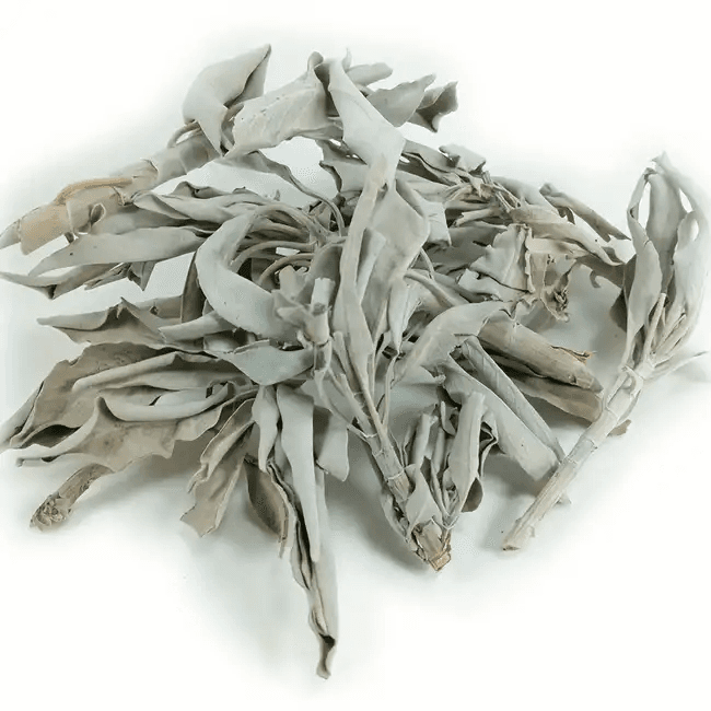 Sauge blanche amérindienne en miettes - 40g