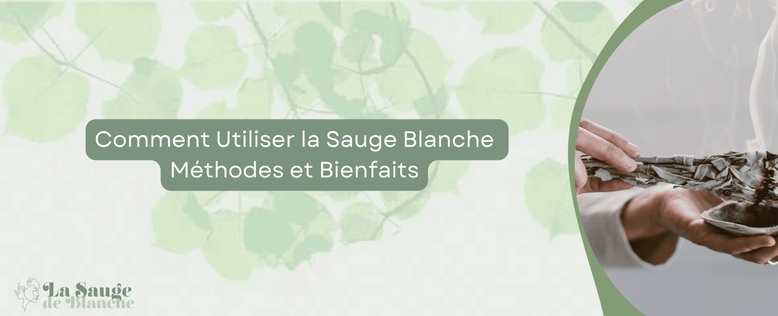 Comment Utiliser la Sauge Blanche : Méthodes et Bienfaits