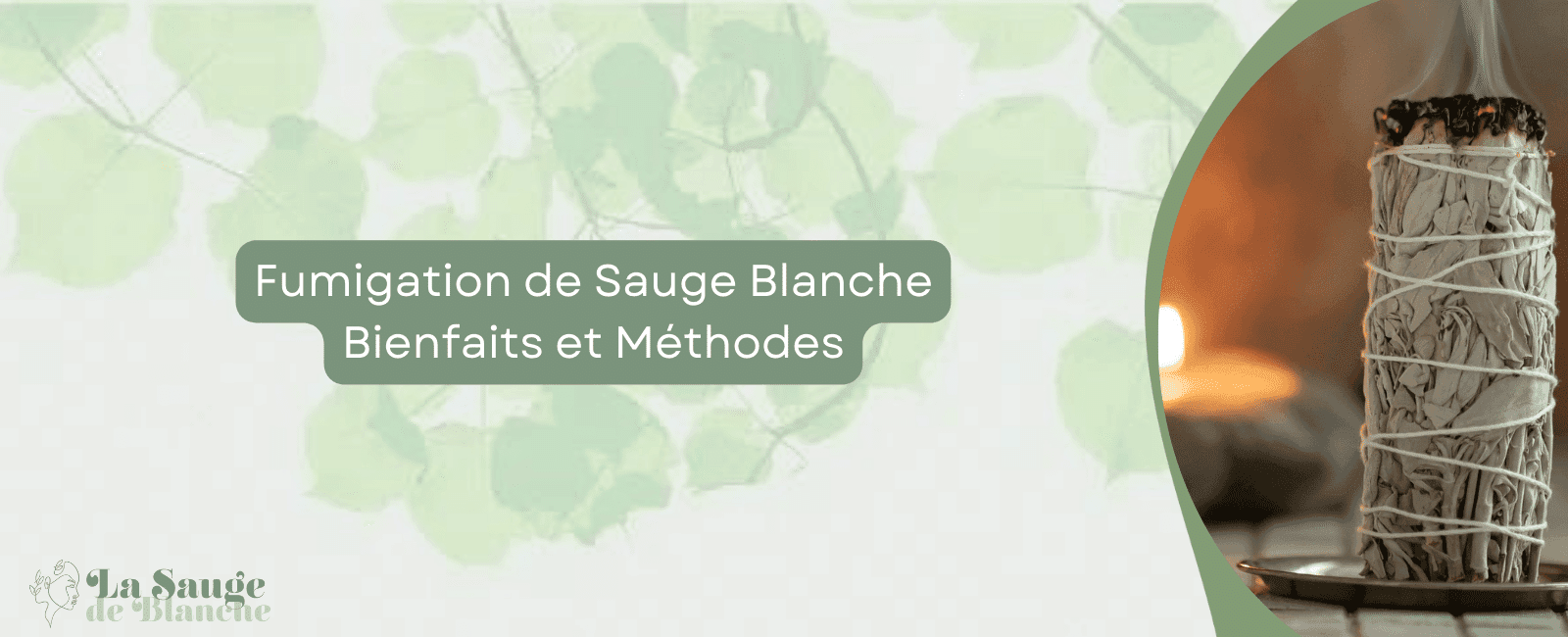 Fumigation de Sauge Blanche : Bienfaits et Méthodes