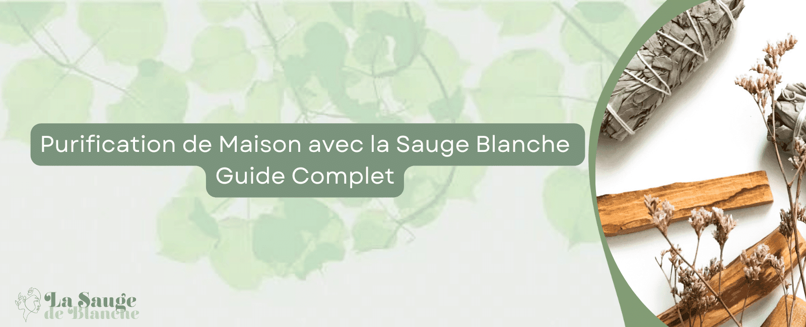 Purification-de-Maison-avec-la-Sauge-Blanche
