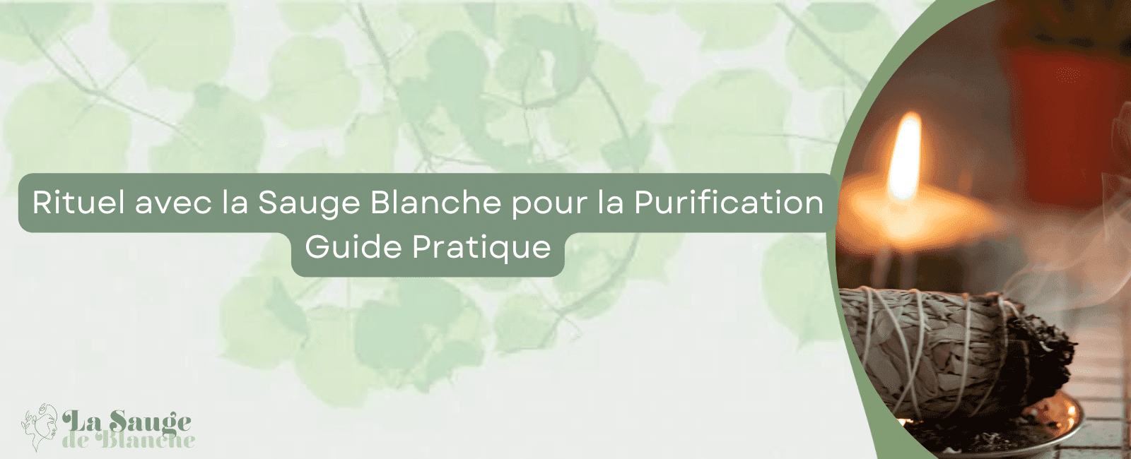 Rituel avec la Sauge Blanche pour la Purification : Guide Pratique