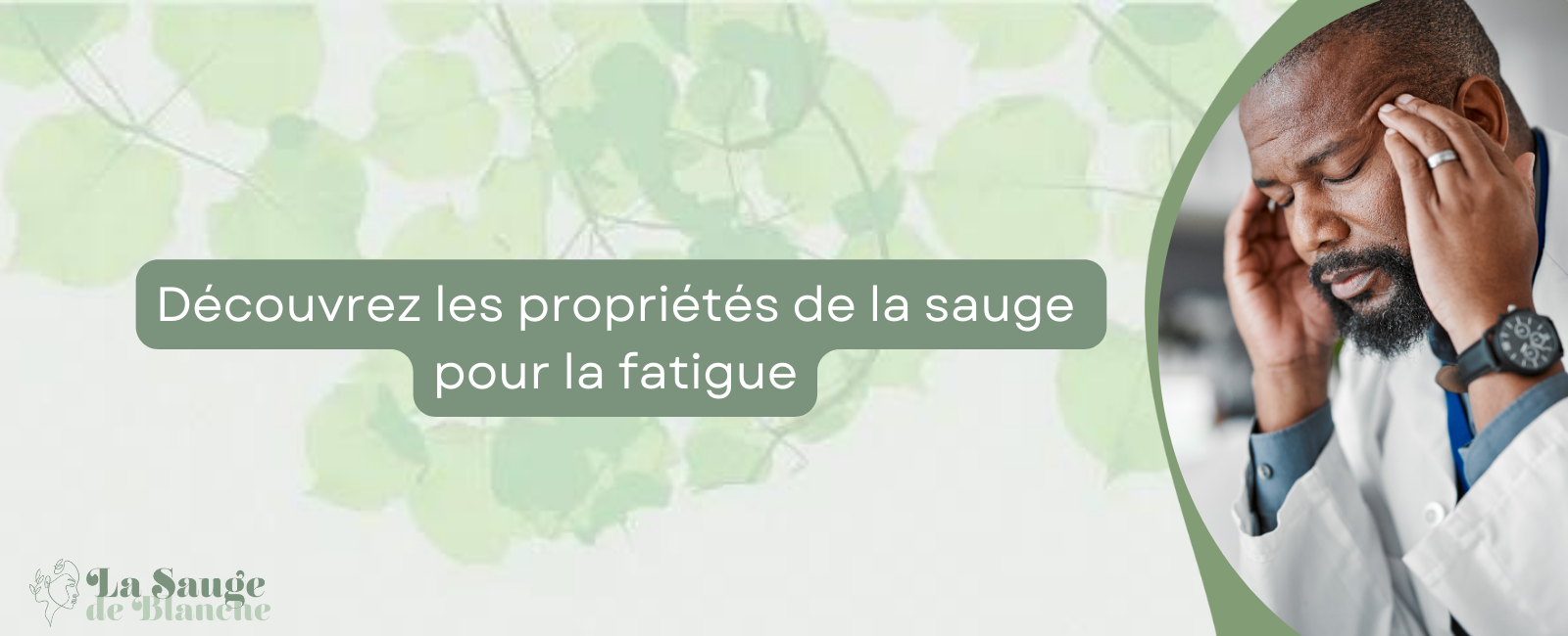 les propriétés de la sauge fatigue bannière