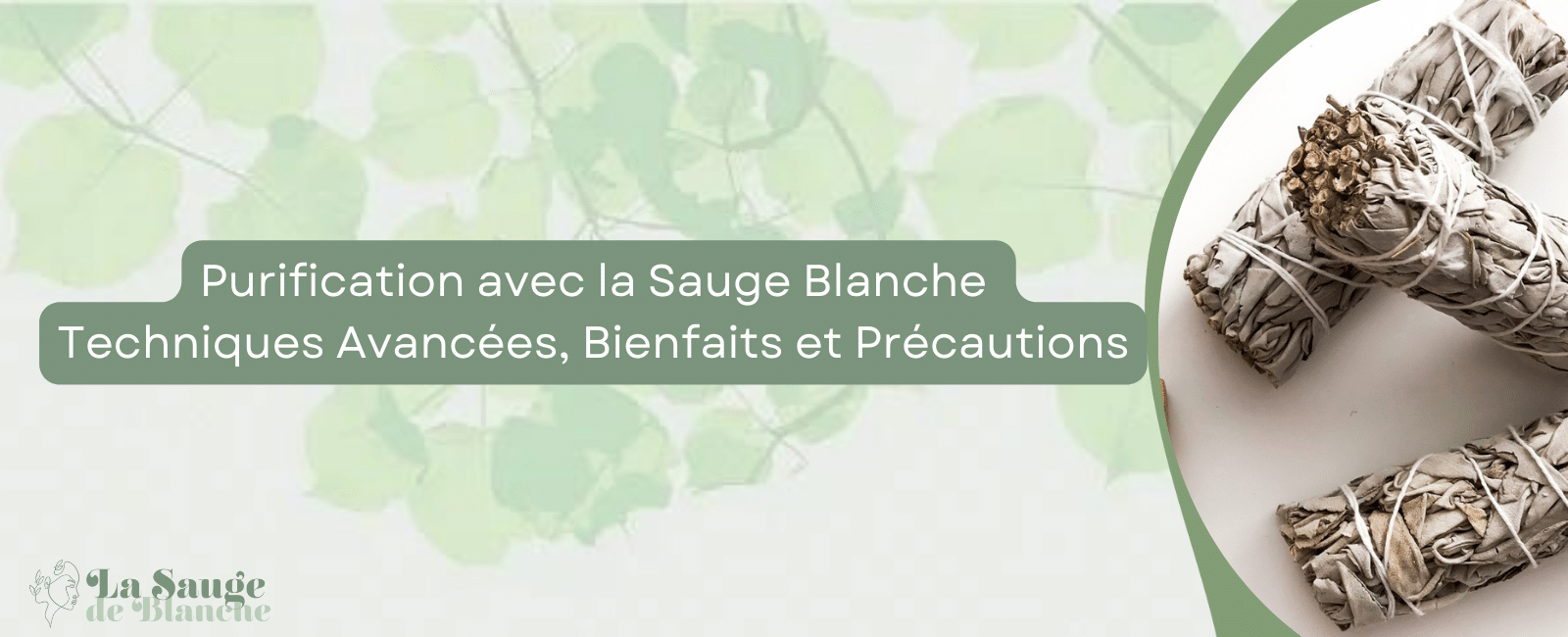 Purification avec la Sauge Blanche